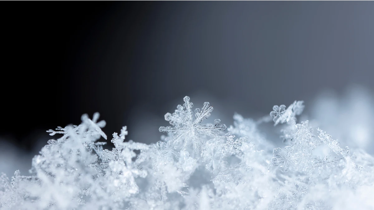 暗い背景に浮かぶ繊細な雪の結晶のマクロ写真、ご遺体を冷却するドライアイスの冷たさをイメージした一枚