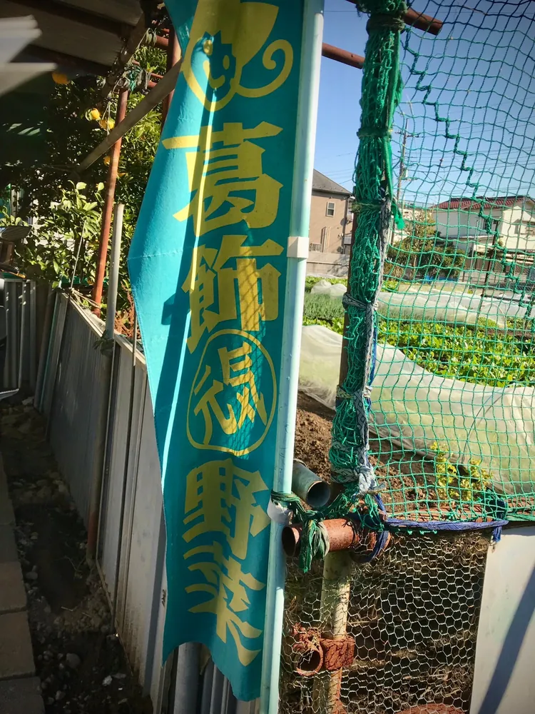 葛飾区細田の畑の入口に立つ、「葛飾元気野菜」ののぼりとネットで囲われた畑